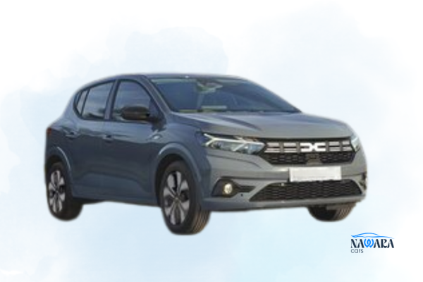 DACIA SANDERO GRIS